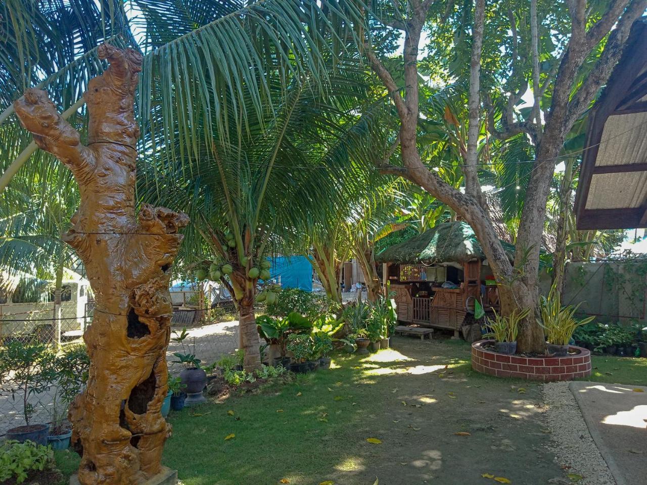Pitaya Native Guest House Panglao Exterior photo